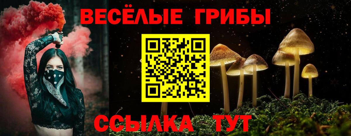 Галлюциногенные грибы Magic Shrooms  Вход с VPN  Раменское  Псилоцибиновые грибы Cubensis 